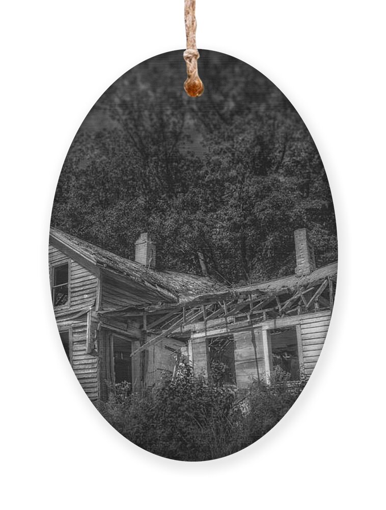 House Ornament featuring the photograph Lost and Alone by Scott Norris