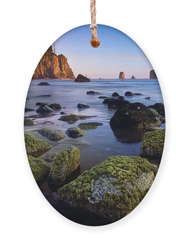 America Ornament featuring the photograph Low Tide at Second Beach by Inge Johnsson
