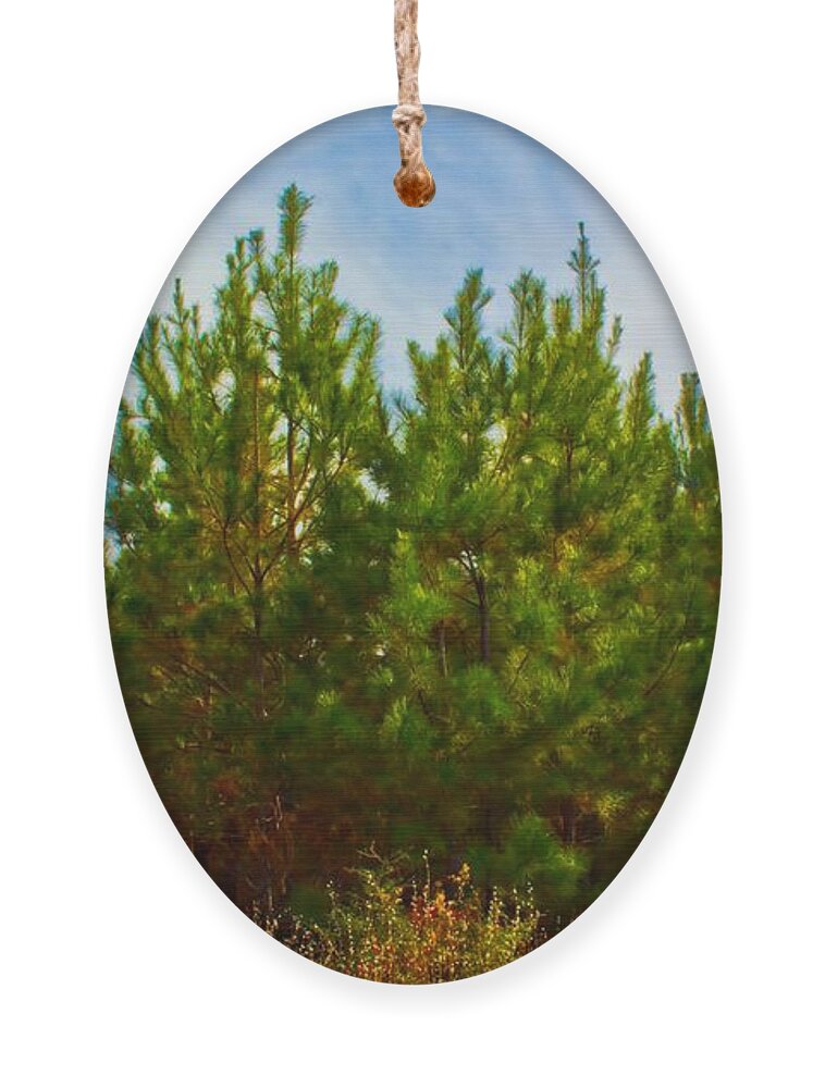Michael Tidwell Photography Ornament featuring the photograph Magical Pines by Michael Tidwell
