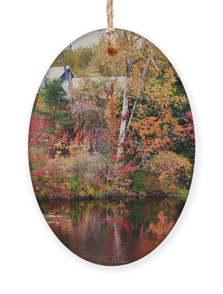 Autumn Foliage New England Ornament featuring the photograph Maine barn through the trees by Jeff Folger