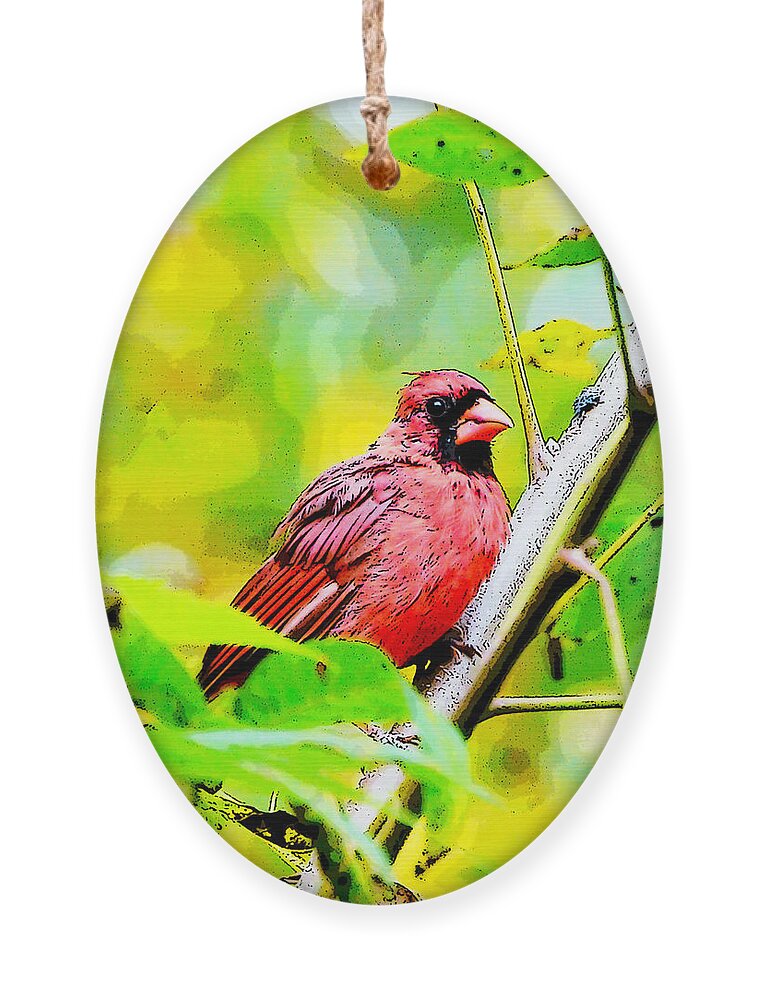 Male Cardinal Ornament featuring the photograph Male Cardinal - Artsy by Kerri Farley