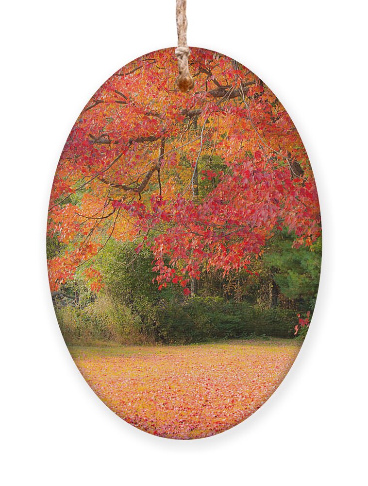 Rhode Island Fall Foliage Ornament featuring the photograph Maple In Red And Orange by Jeff Folger