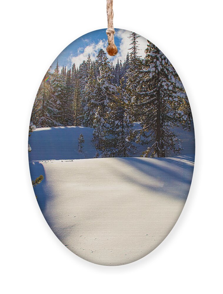 Mt Hood Snowshoeing Ornament featuring the photograph May the long time sun shine upon you by Kunal Mehra