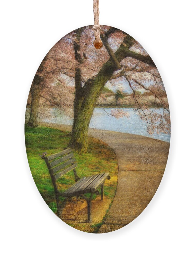 Bench Ornament featuring the photograph Meet Me At Our Bench by Lois Bryan