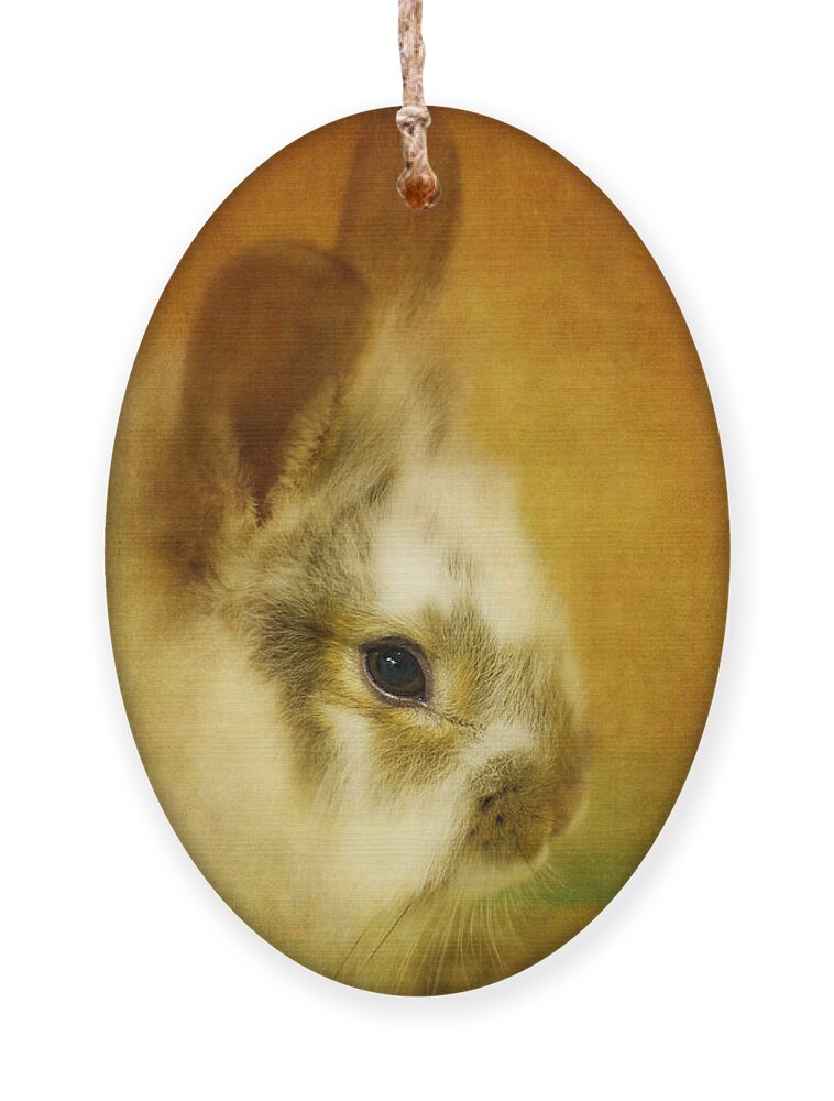 Rabbit Ornament featuring the photograph Memories of Watership Down by Lois Bryan