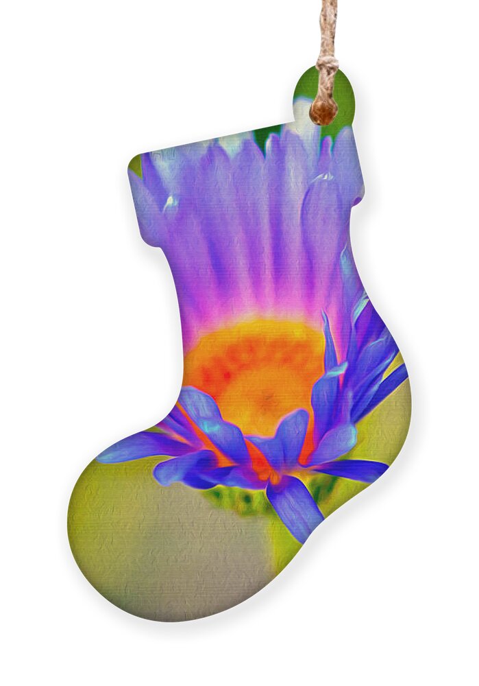 Pollen Ornament featuring the photograph Mojave Aster by Joe Schofield
