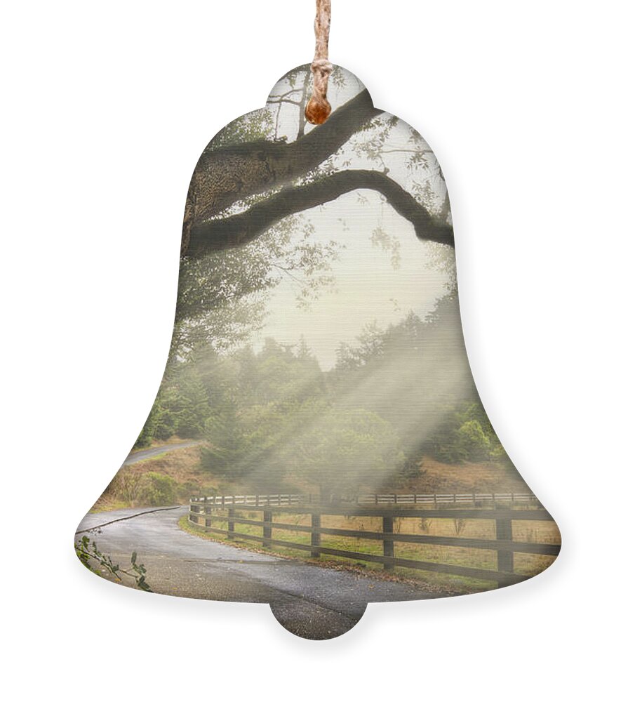 Clouds Ornament featuring the photograph Morning Light by Debra and Dave Vanderlaan