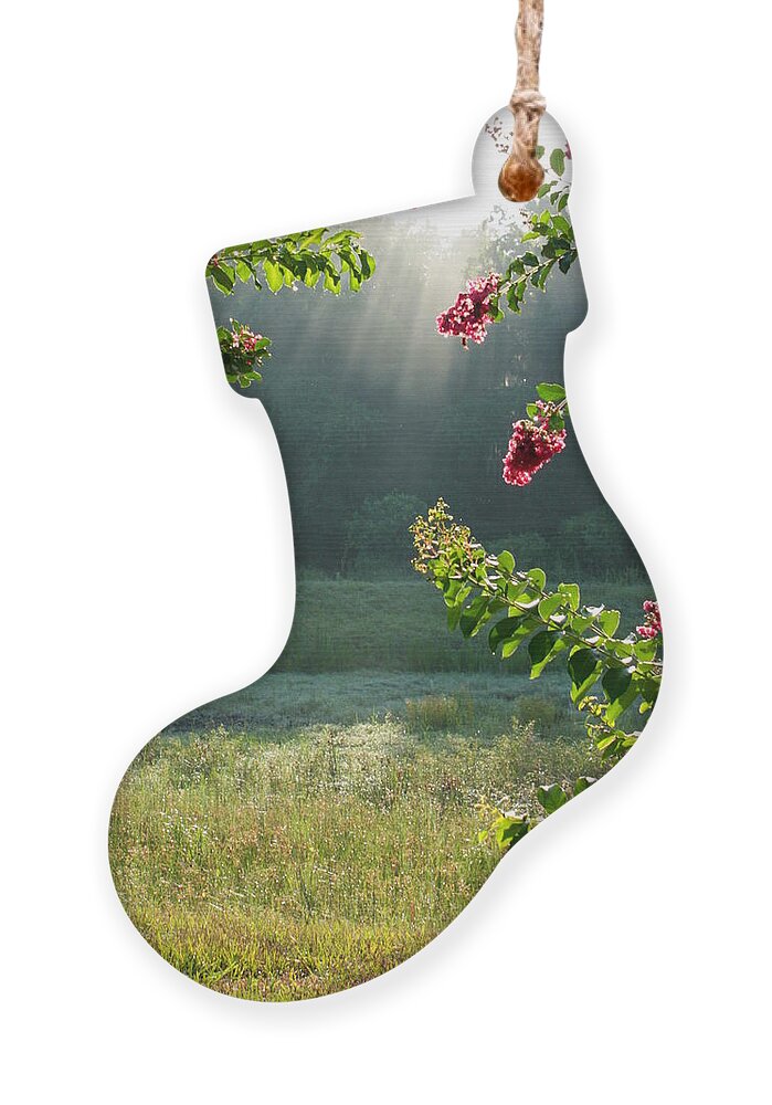 Crape Myrtle Ornament featuring the photograph Morning Marsh by Carol Groenen