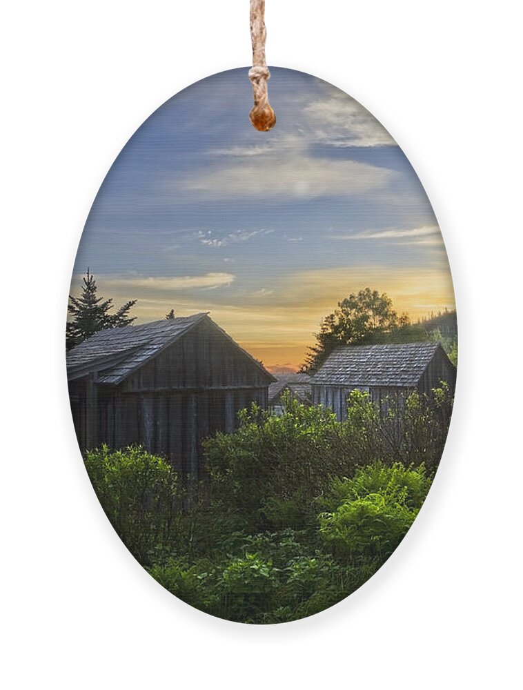 Appalachia Ornament featuring the photograph Mt LeConte Before Dawn by Debra and Dave Vanderlaan