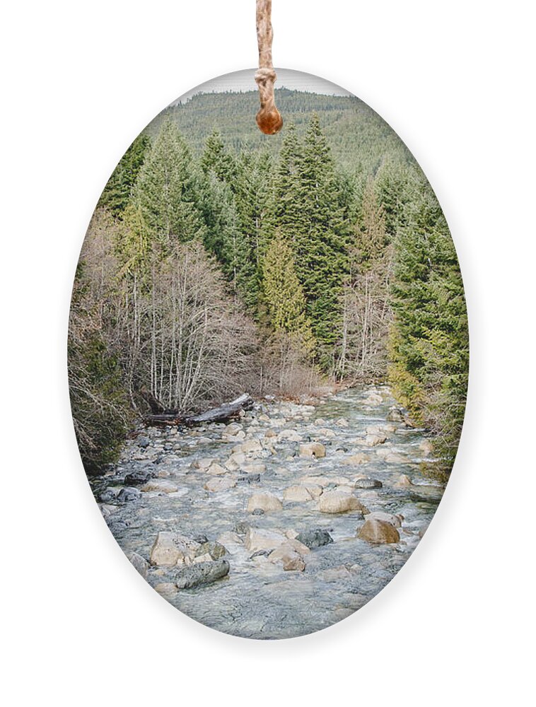 Running Water Ornament featuring the photograph Island Stream by Roxy Hurtubise