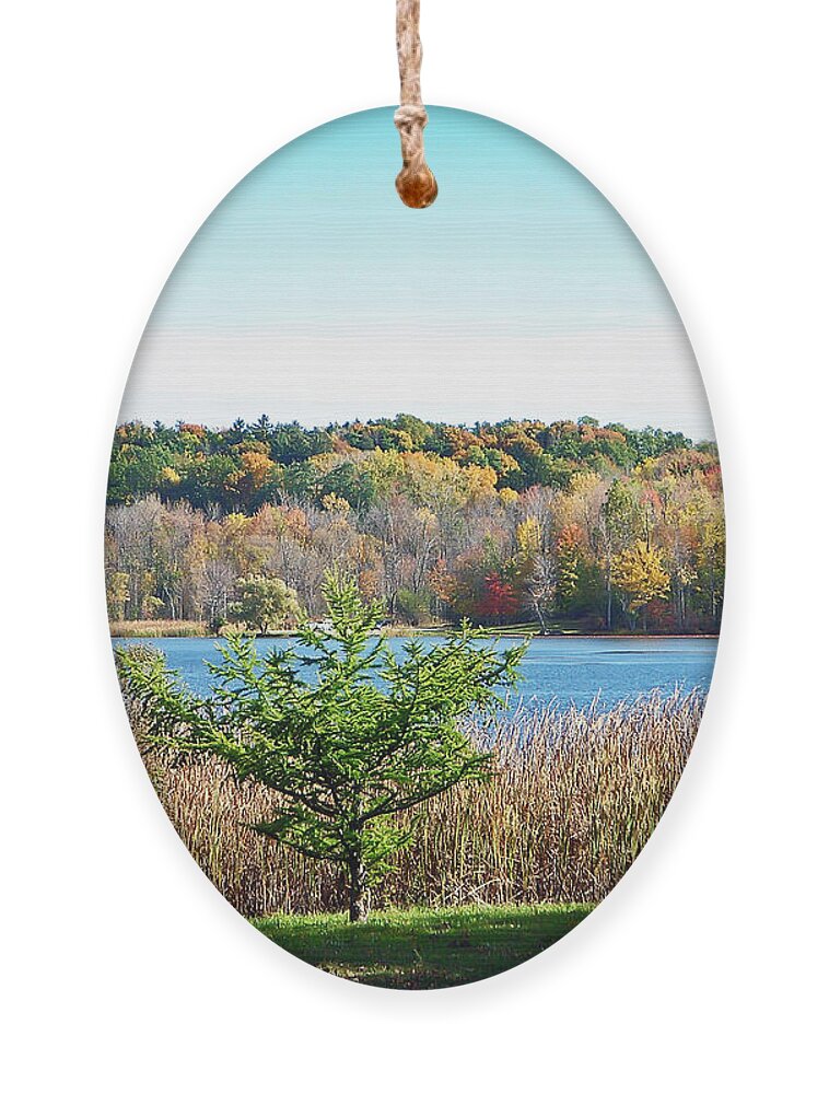 Autumn Ornament featuring the photograph Natures Gift by Aimee L Maher ALM GALLERY