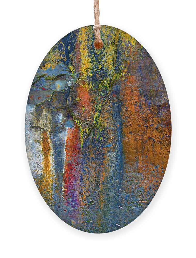 Abstract Ornament featuring the photograph Nature's Painting by Lisa Chorny