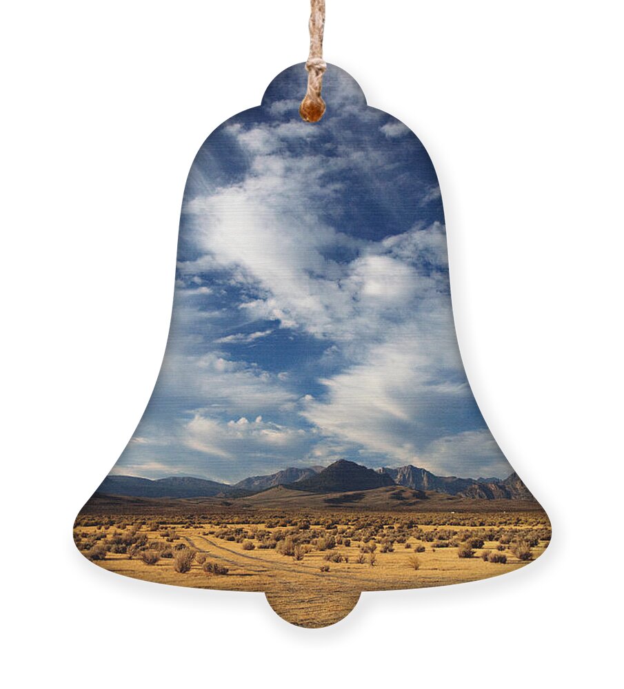 Mountains Ornament featuring the photograph Near the Intersection of God and the Eastern Sierras by Joe Schofield