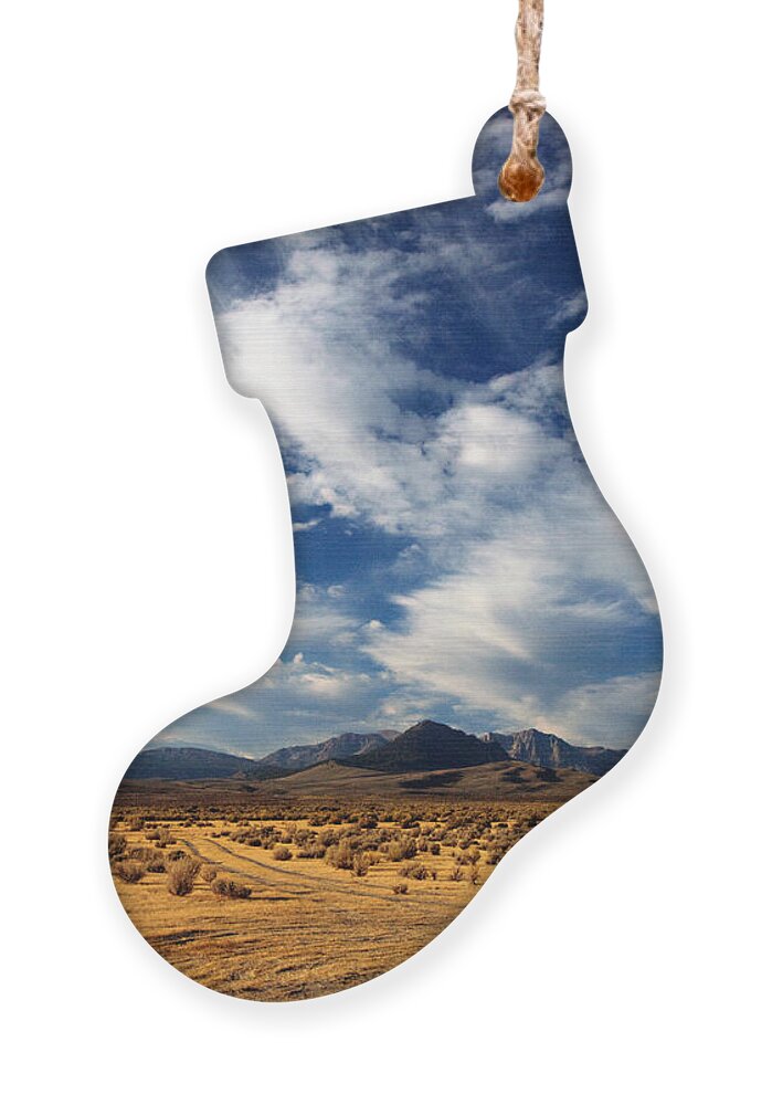 Mountains Ornament featuring the photograph Near the Intersection of God and the Eastern Sierras by Joe Schofield