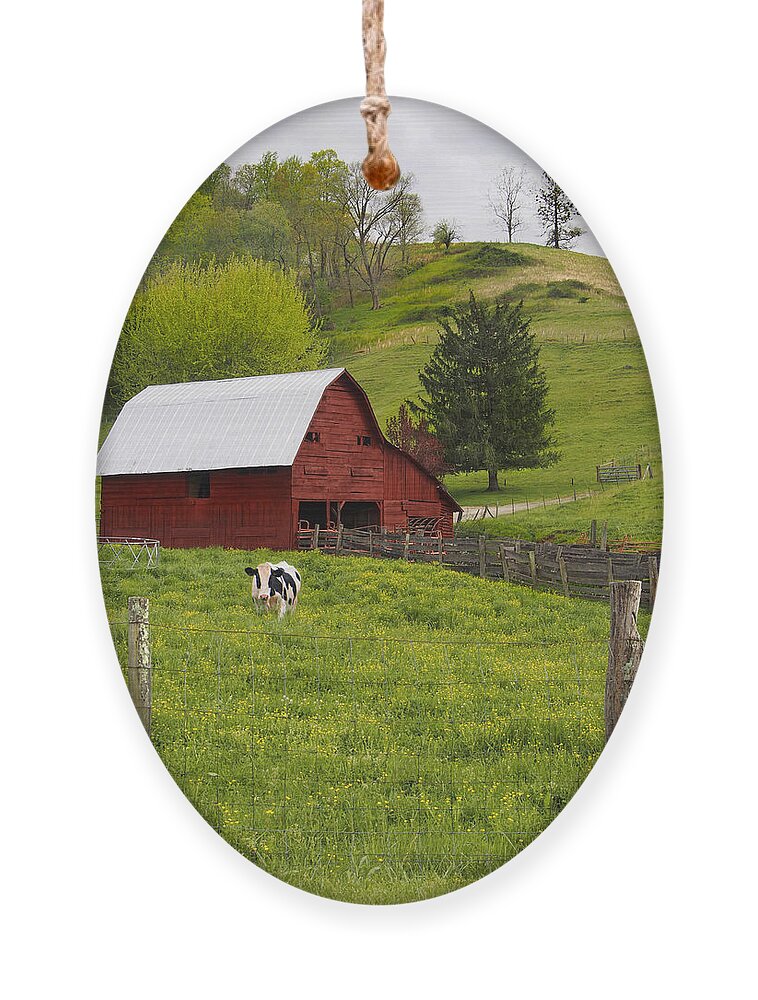 Red Barn Ornament featuring the photograph New Red Paint by Mike McGlothlen