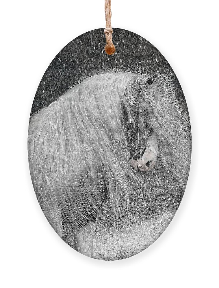 Gypsy Horses Ornament featuring the digital art Nor easter by Fran J Scott
