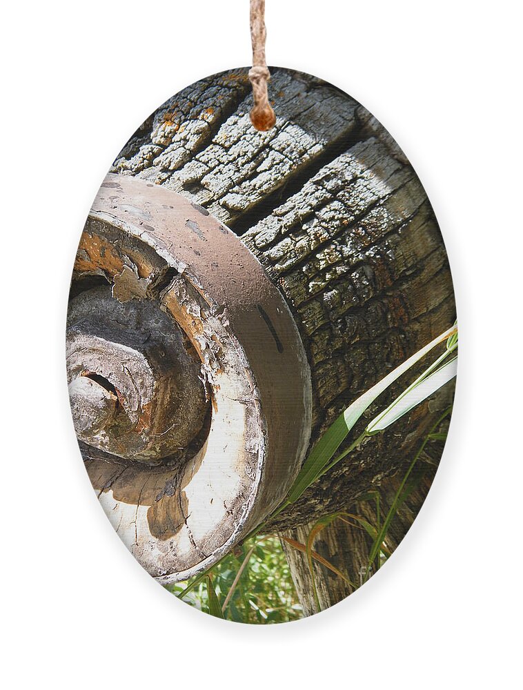 Wagon Wheel Ornament featuring the photograph Old Hub by Ann E Robson