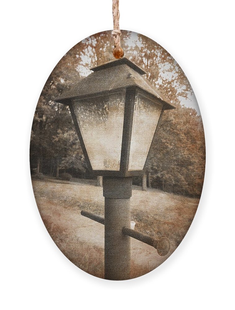 Old Ornament featuring the photograph Old Street Lamp by Richard Reeve