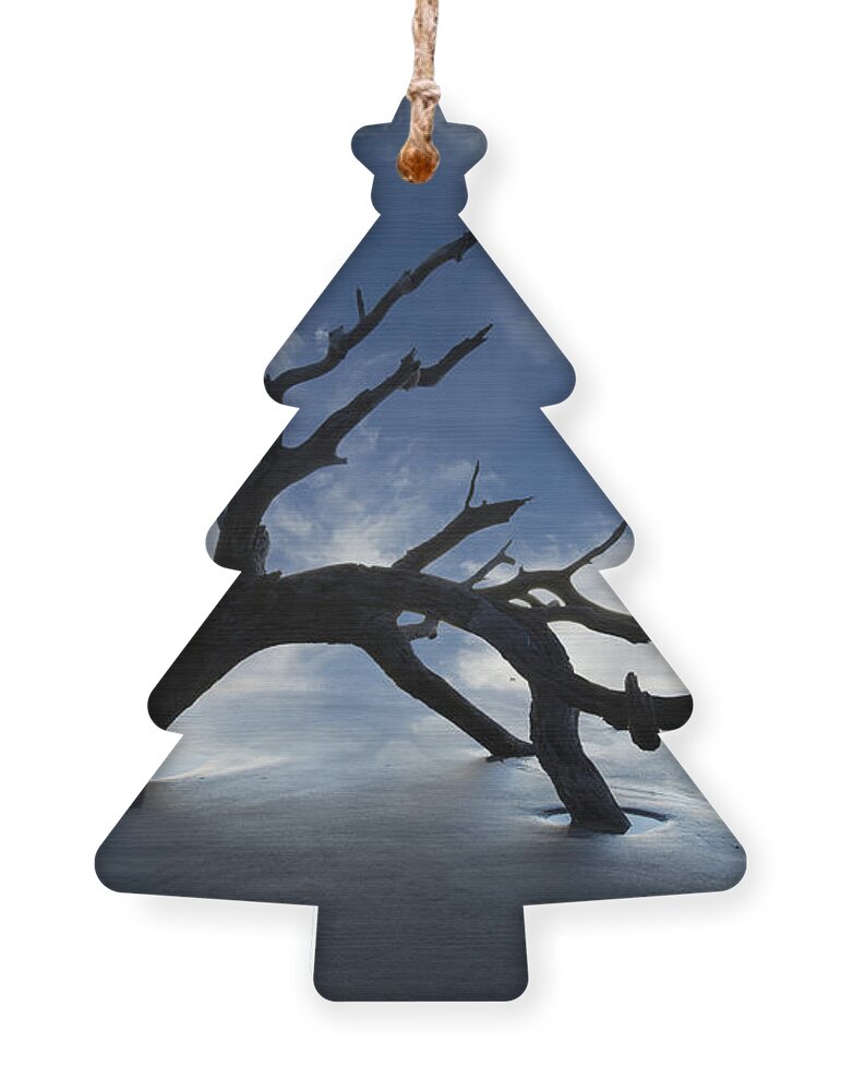 Clouds Ornament featuring the photograph On a MIsty Morning by Debra and Dave Vanderlaan