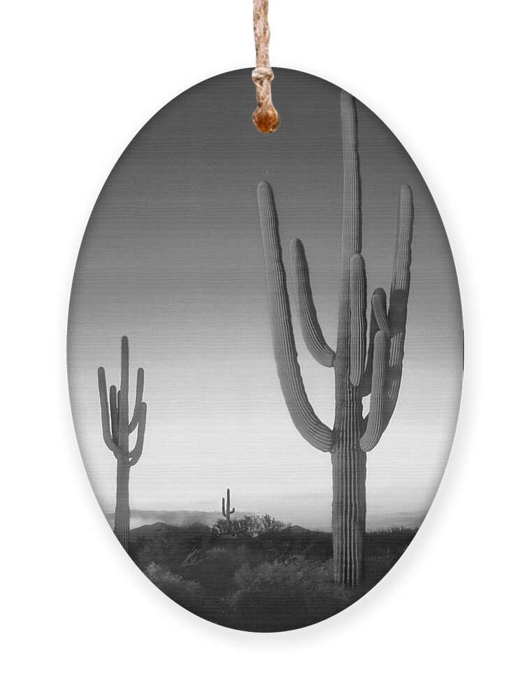Arizona Landscape Ornament featuring the photograph On the Border by Mike McGlothlen