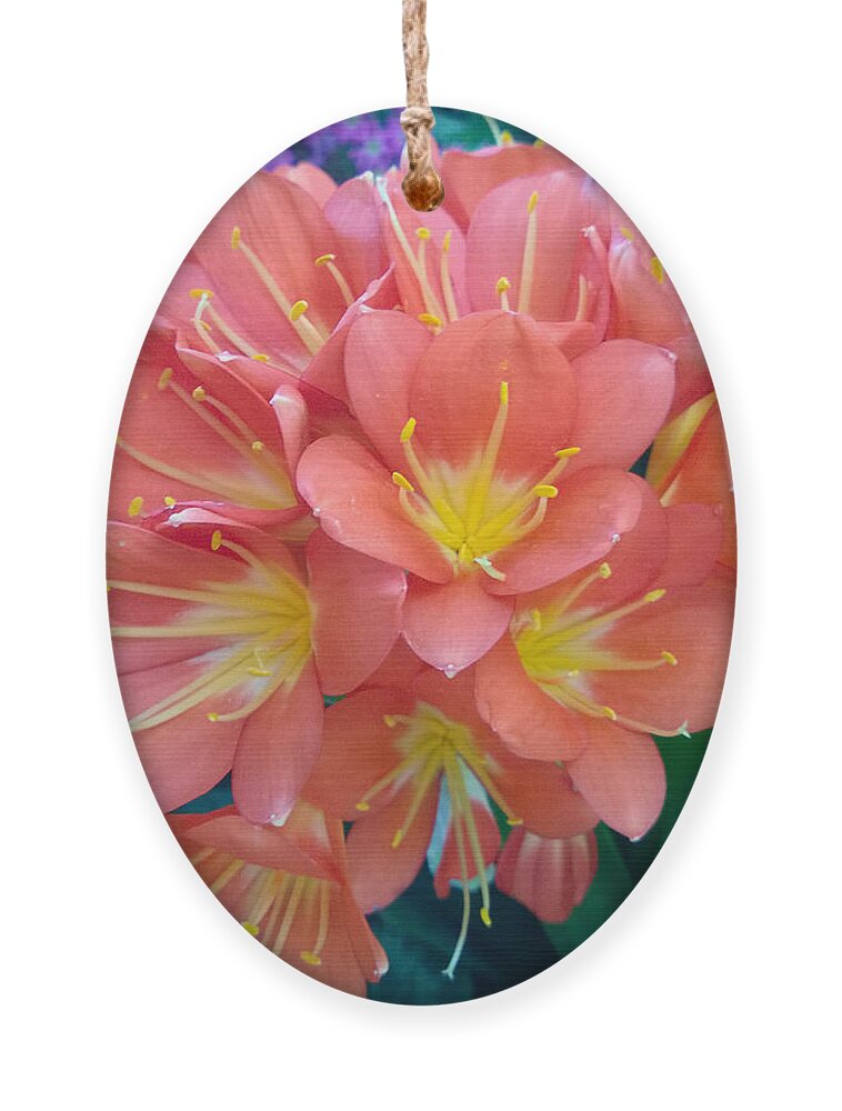 Orange Ornament featuring the photograph Orange Bouquet by Claudia Goodell