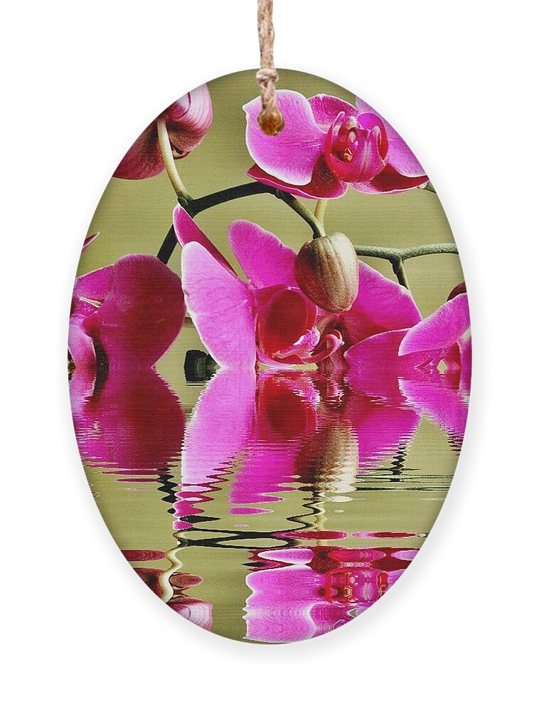 Orchid Ornament featuring the photograph Orchid Reflection by Judy Palkimas