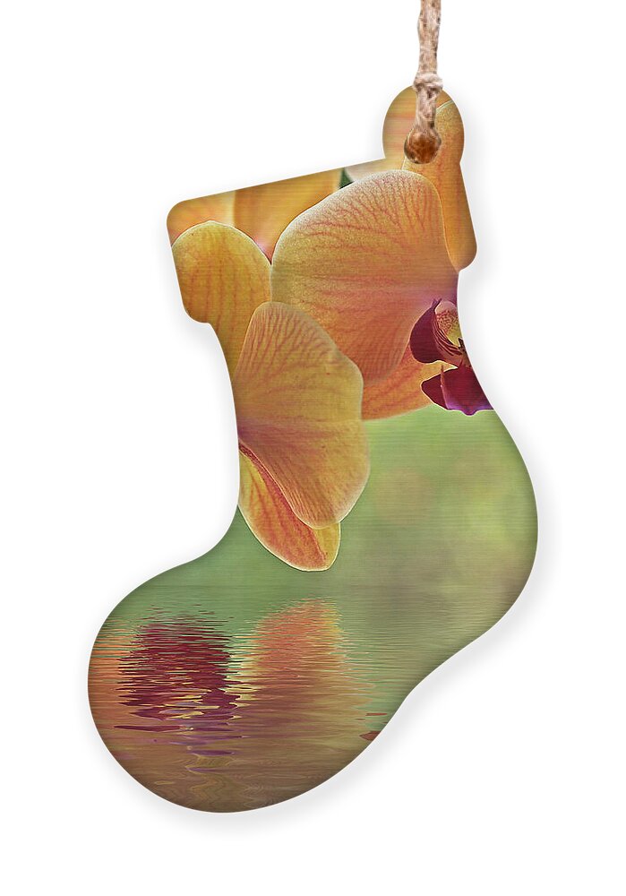 Orchid Ornament featuring the photograph Oriental Spa - Square by Gill Billington