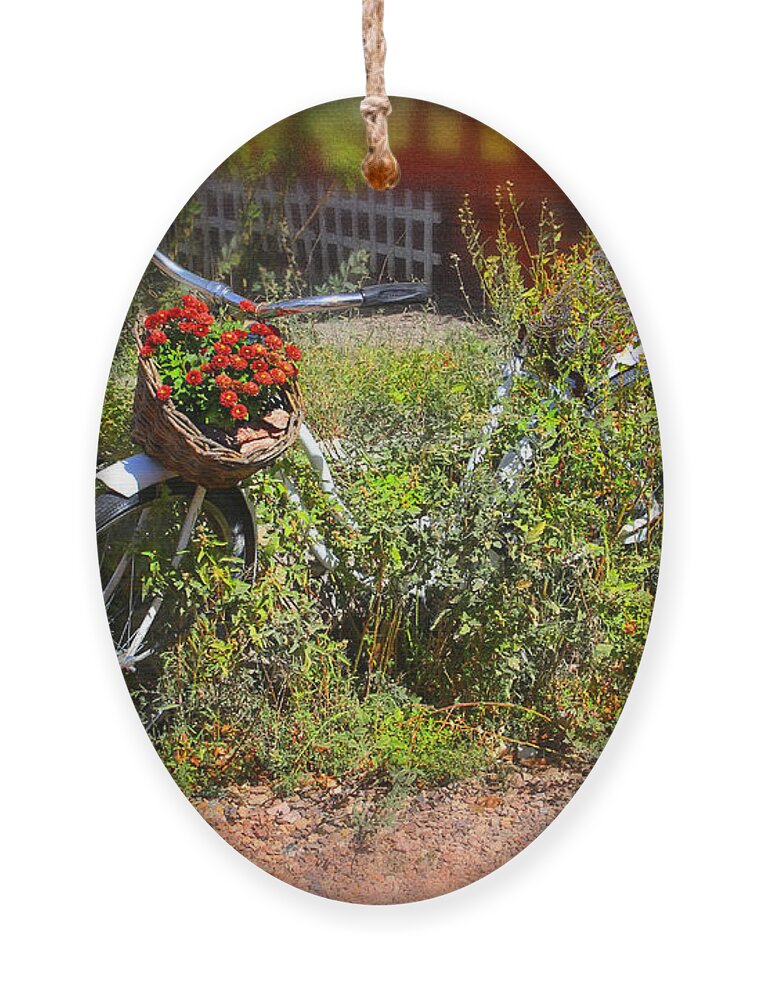 Bike Ornament featuring the photograph Overgrown Bicycle with Flowers by Mike McGlothlen