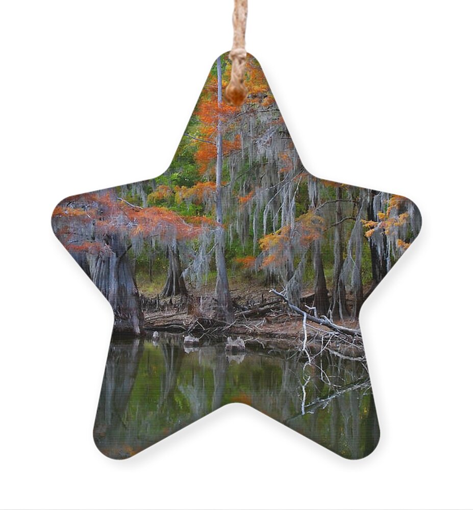 Autumn Ornament featuring the photograph Painted Bayou by Lana Trussell