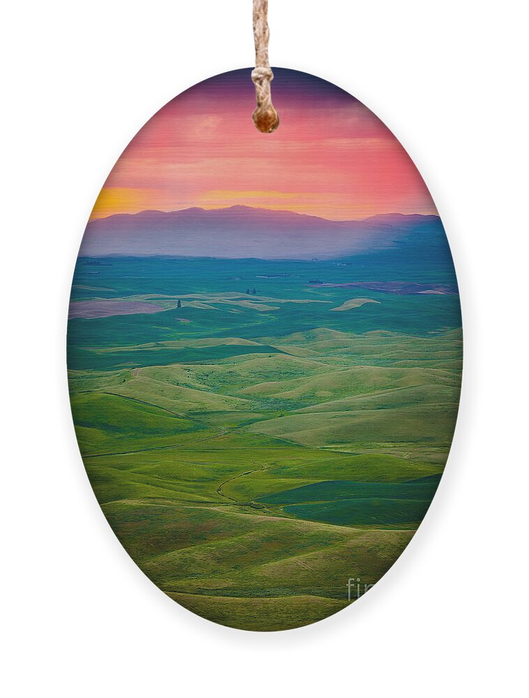 America Ornament featuring the photograph Palouse Storm at Dawn by Inge Johnsson