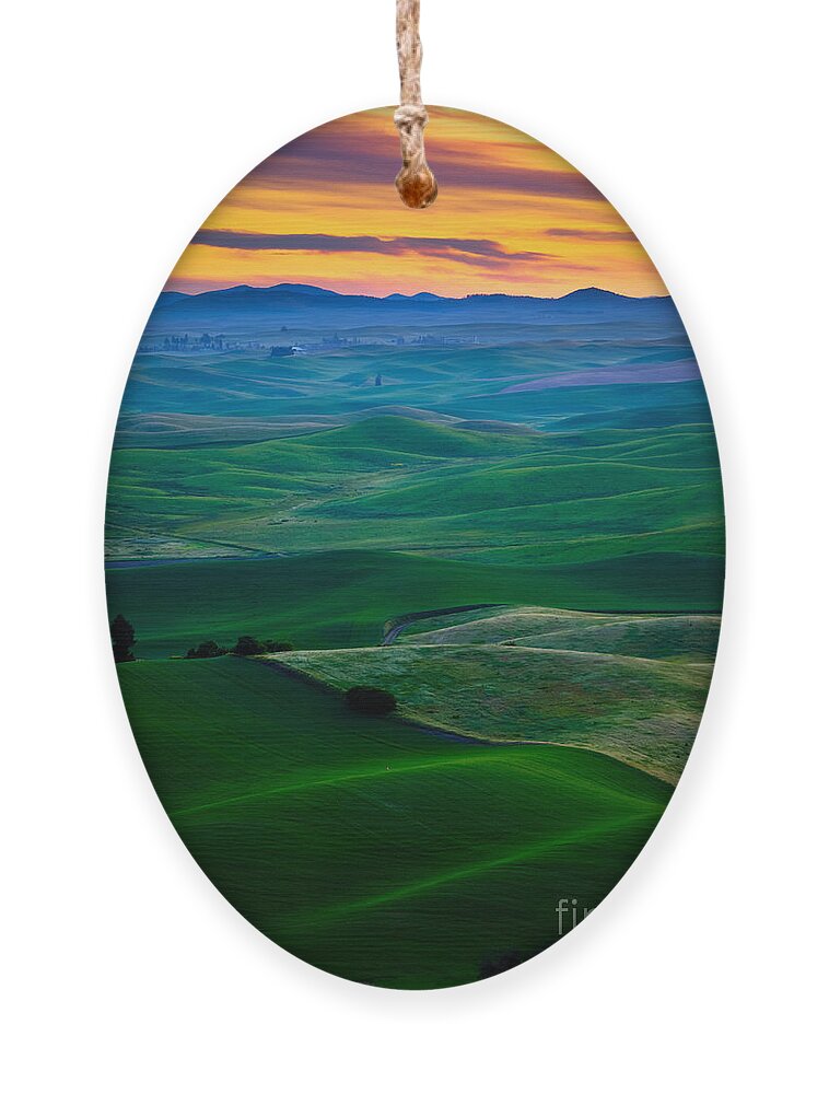 America Ornament featuring the photograph Palouse Velvet by Inge Johnsson