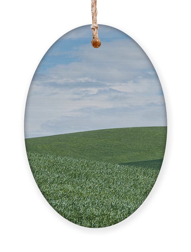 Agricultural Activity Ornament featuring the photograph Palouse Wheatfield by Jeff Goulden
