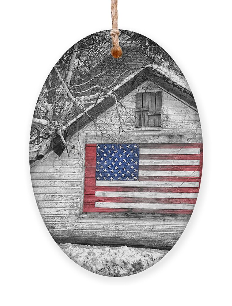 Artwork Landscapes Ornament featuring the photograph Patriotic American shed by Jeff Folger