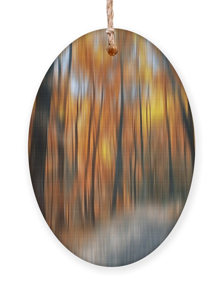 Autumn Ornament featuring the photograph Peaceful Path by Susan Candelario