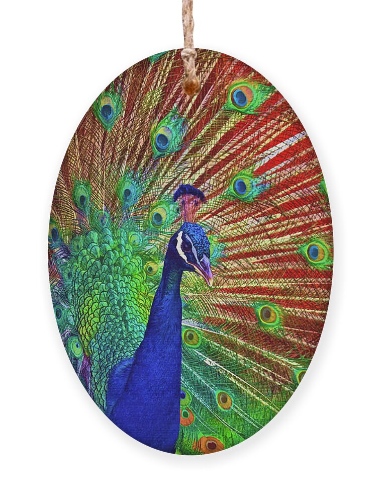 Peacock Ornament featuring the photograph Peacock in front of Red Barn by Jerry Gammon