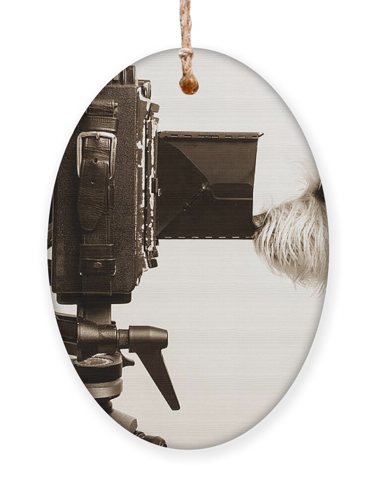 Westie Ornament featuring the photograph Pho Dog Grapher by Edward Fielding