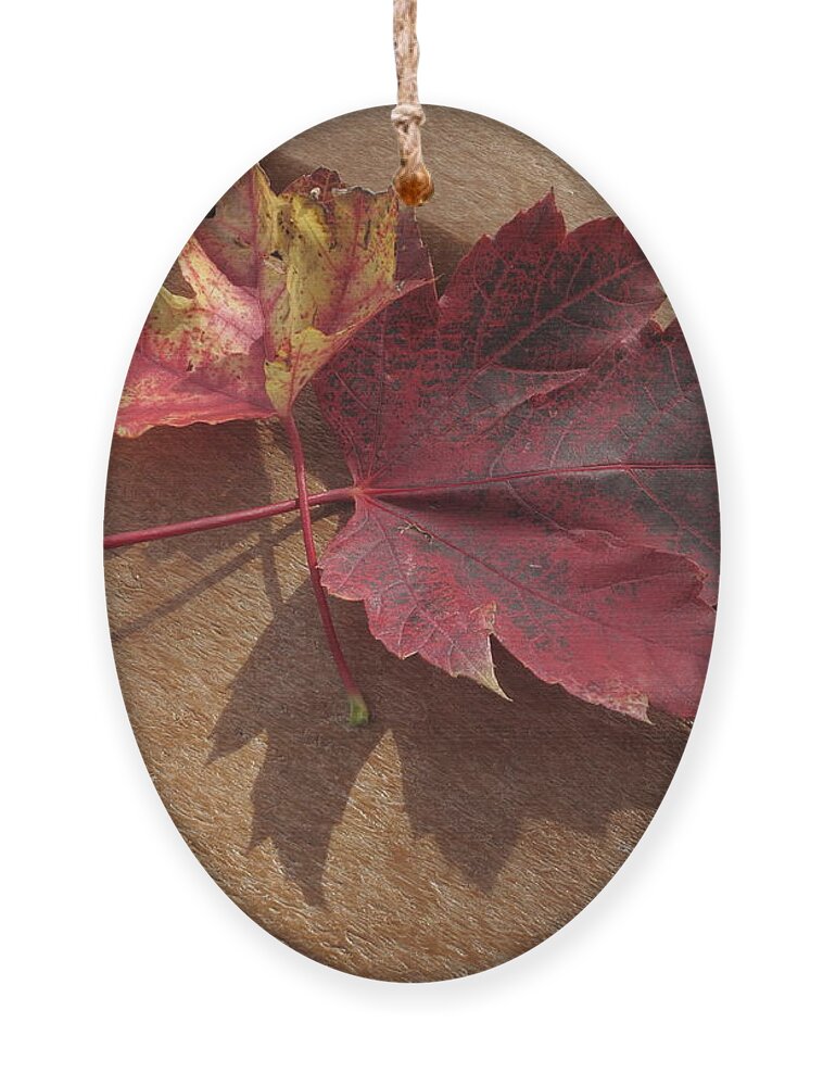 Leaves Ornament featuring the photograph Picnic for Two by Jessica Myscofski