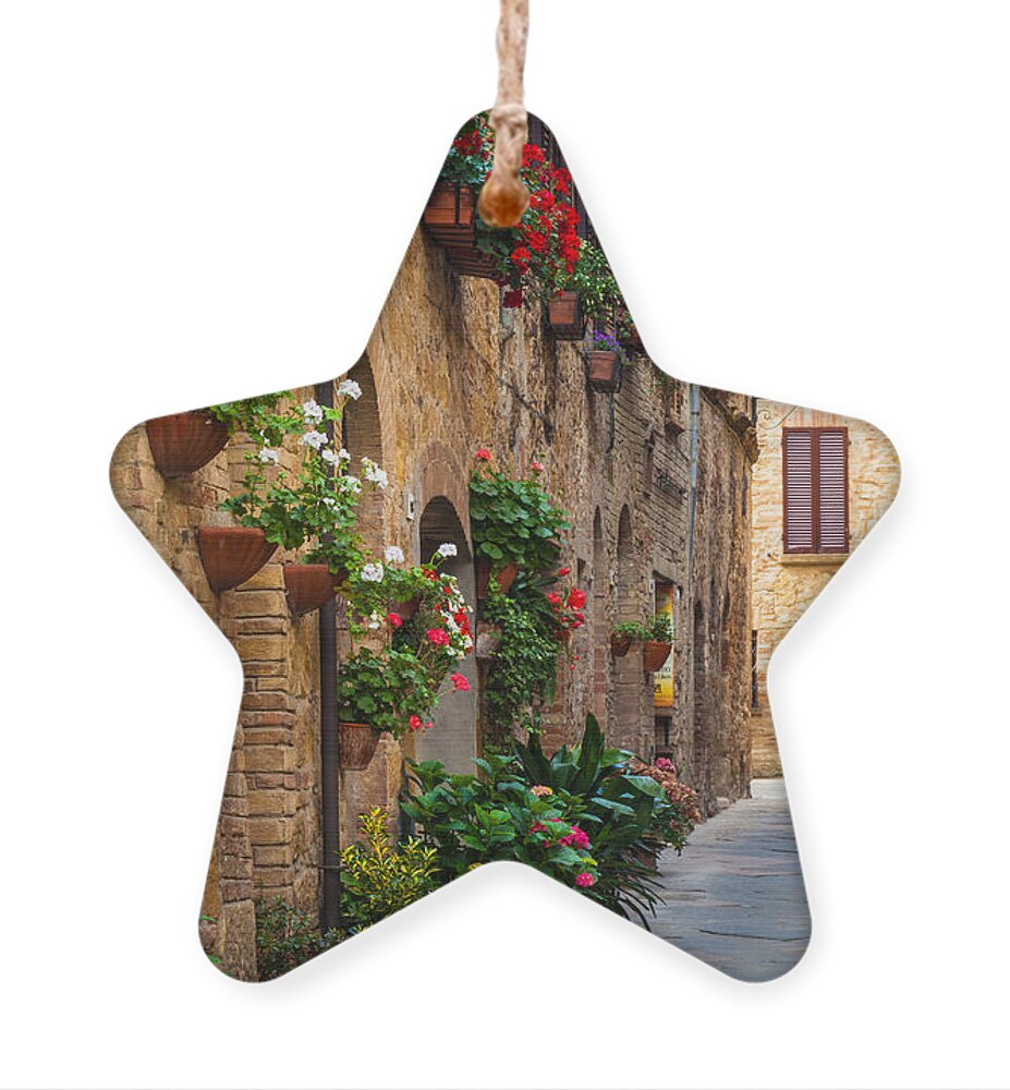 Europe Ornament featuring the photograph Pienza Street by Inge Johnsson