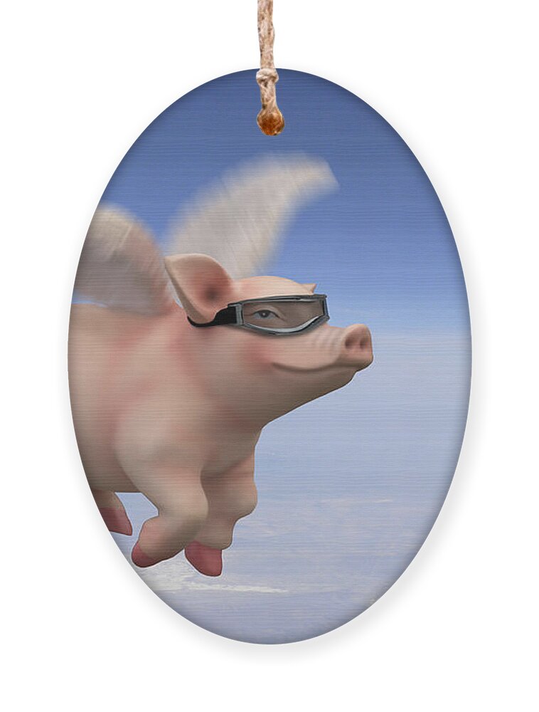 Pigs Fly Ornament featuring the photograph Pigs Fly 1 by Mike McGlothlen