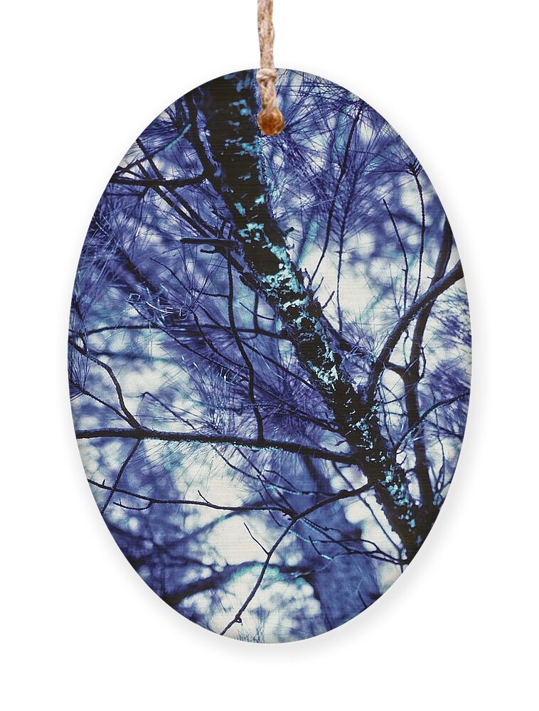 Blue Ornament featuring the photograph Pine Trees, Blue Redux by Carol Whaley Addassi