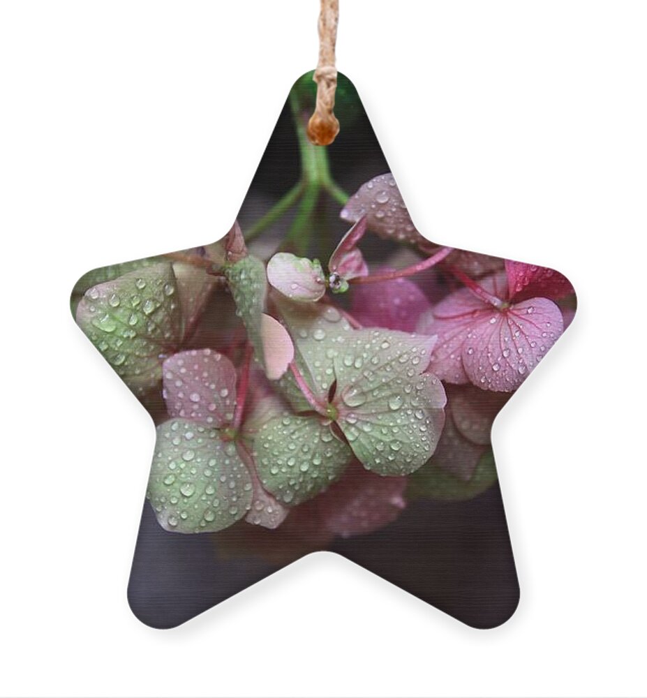Green Ornament featuring the photograph Pink Green and Rain by Jeremy Hayden