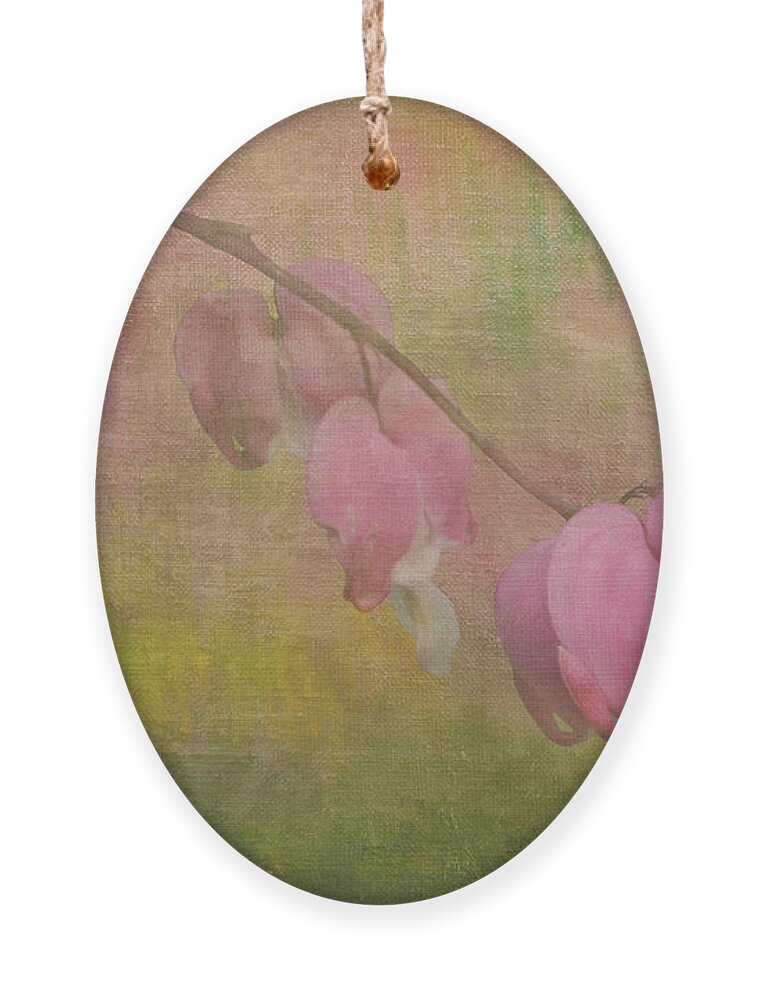 Bleeding Heart Ornament featuring the photograph Pink Hearts by Jayne Carney