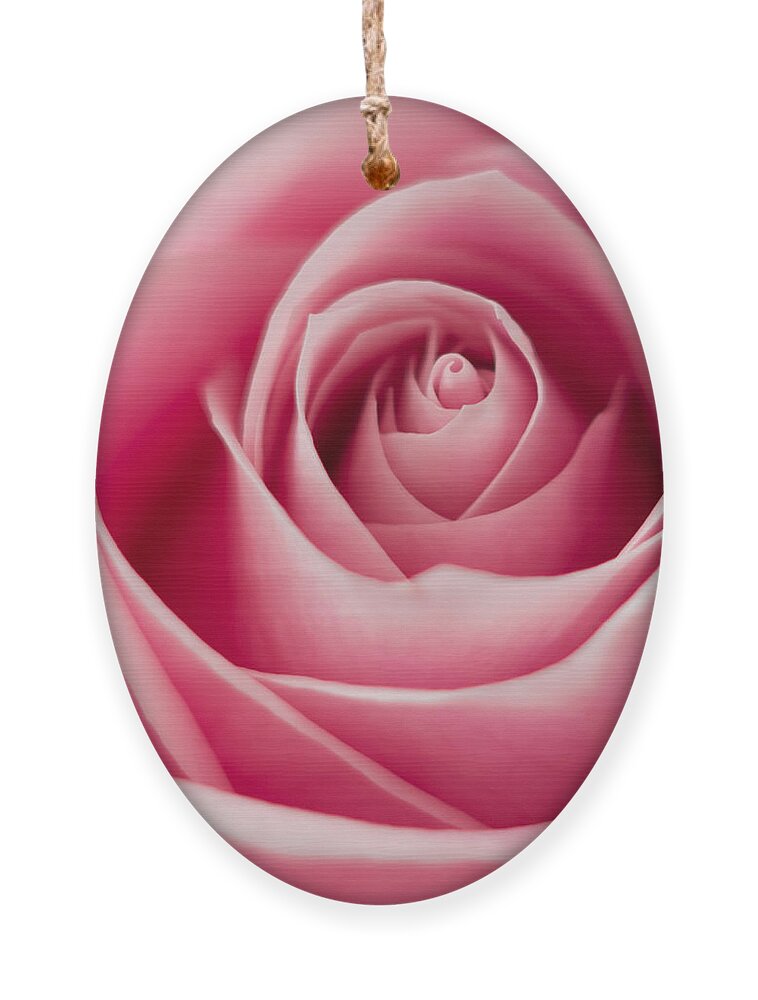 Rose Ornament featuring the photograph Pink Passion by Ernest Echols