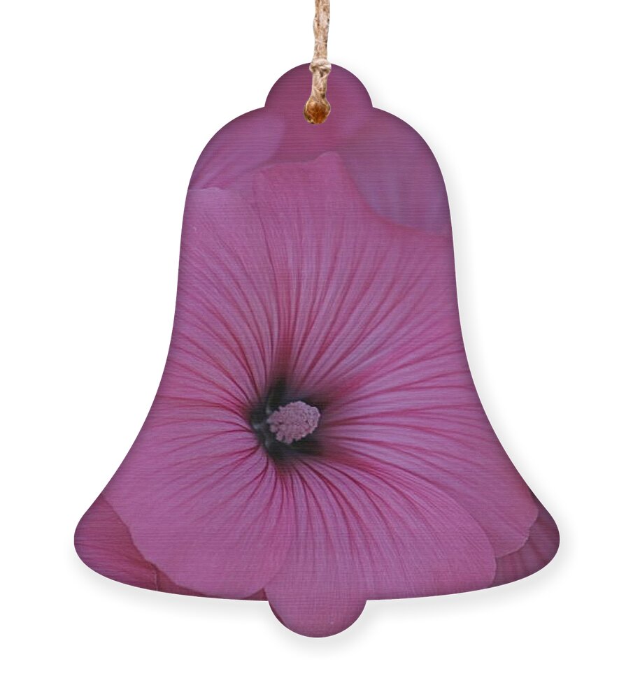 Summer Ornament featuring the photograph Pink Petunia by Alicia Kent