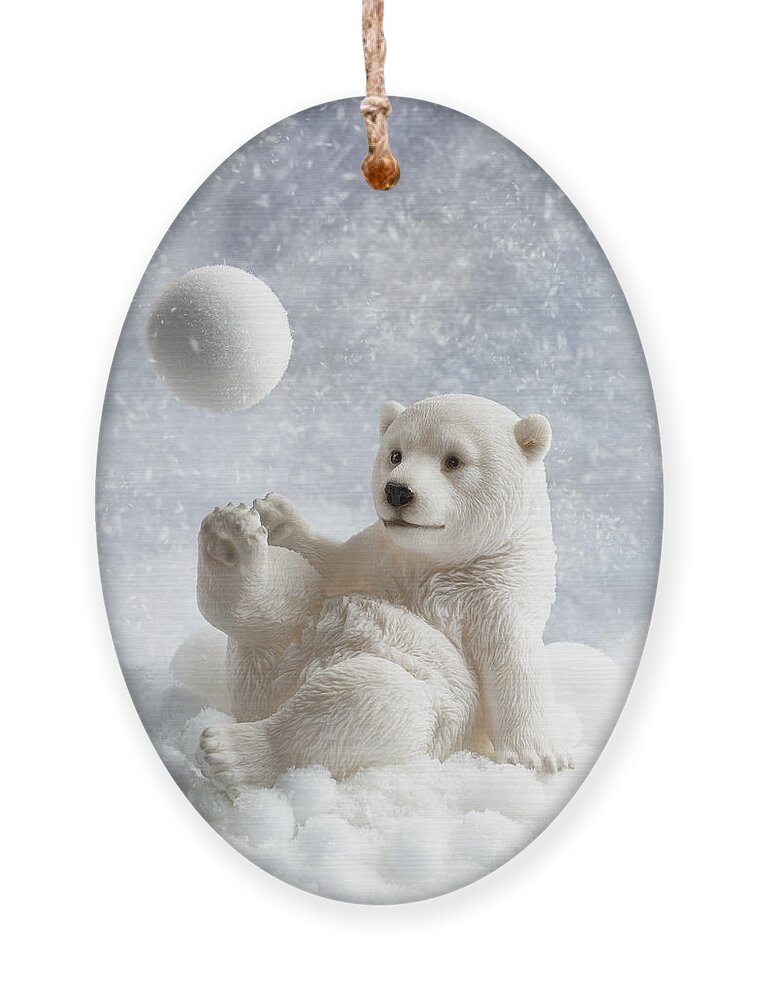 Polar Ornament featuring the photograph Polar Bear Decoration by Amanda Elwell