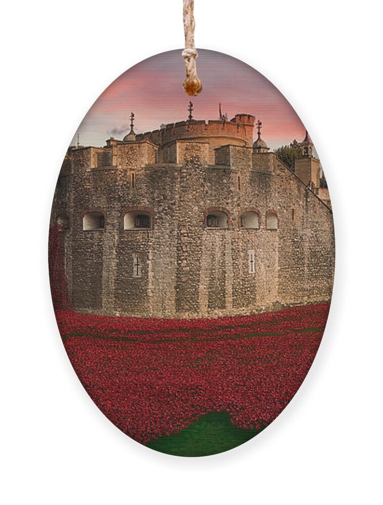 Poppies Ornament featuring the digital art Poppy Sea by Airpower Art