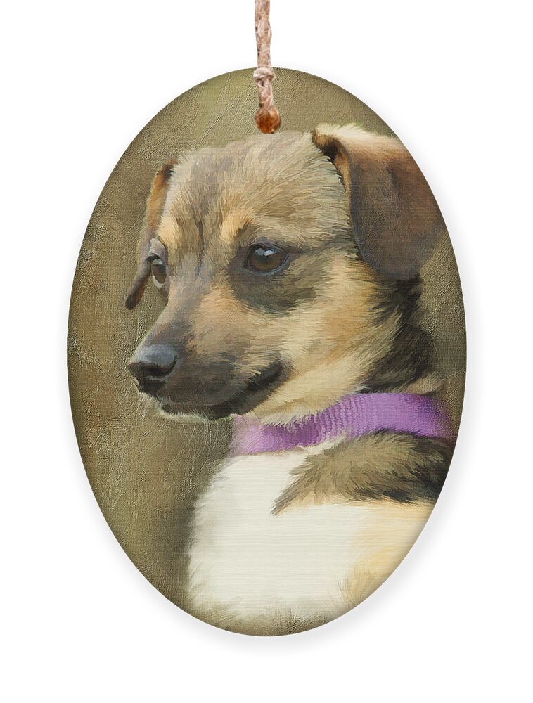 Chihuahua Ornament featuring the digital art Portrait of Maizie by Jayne Carney