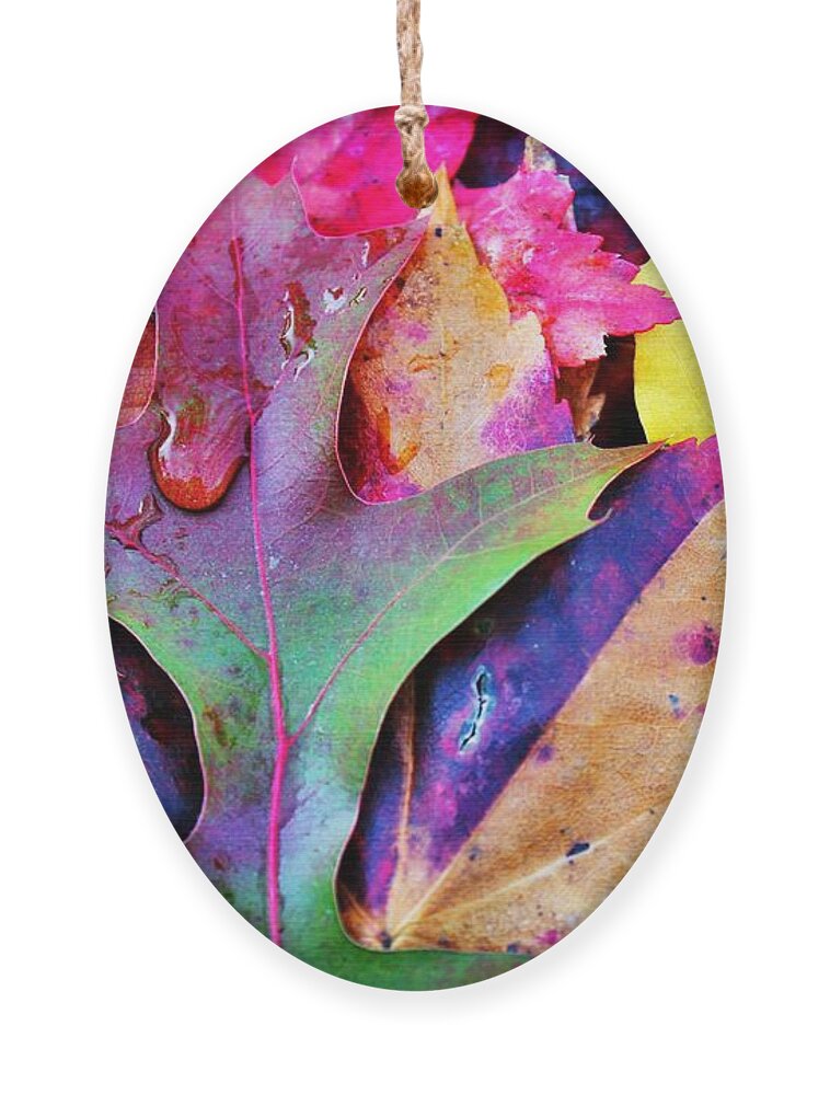 Autumn Ornament featuring the photograph Primary Colors Of Fall by Judy Palkimas