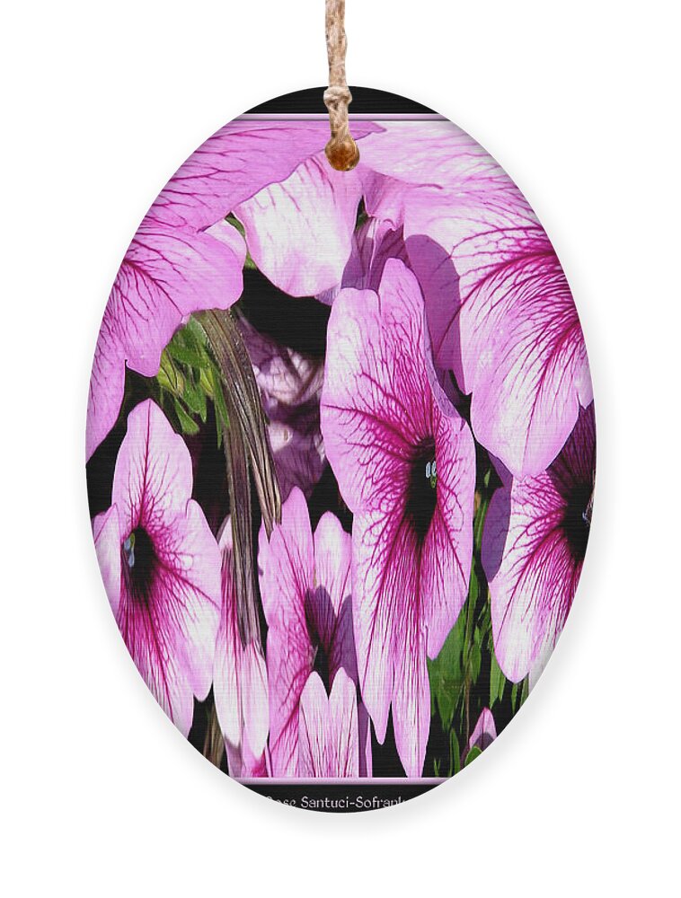 Petunia Ornament featuring the photograph Purple Petunias Abstract by Rose Santuci-Sofranko