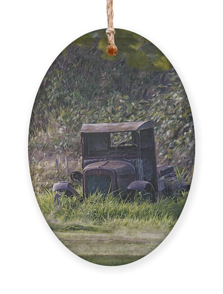 Put Out To Pasture Ornament featuring the photograph Put Out To Pasture by Jordan Blackstone